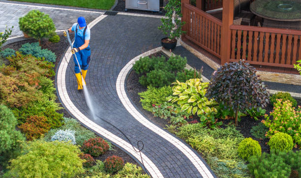Best Local Pressure Washing Services  in Locust, NC