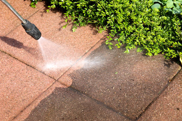 Best Pressure Washing Services Near Me  in Locust, NC